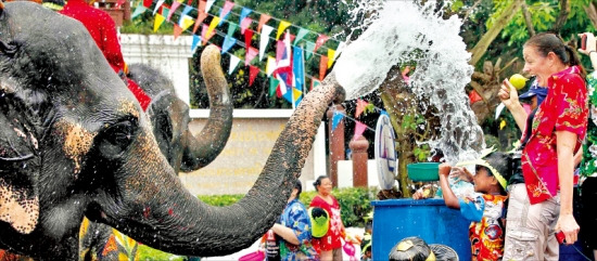 태국 물의 축제인 송끄란에서 코끼리가 외국인 관광객에게 물을 뿌리는 모습.