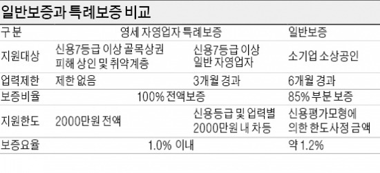 영세 자영업자에 1조 저금리 보증