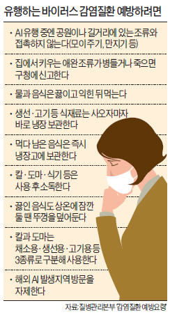 중국 AI·장바이러스, 한반도 상륙 '주의보'