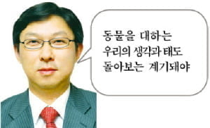 [시사이슈 찬반토론] 길고양이 먹이주기 옳을까요 