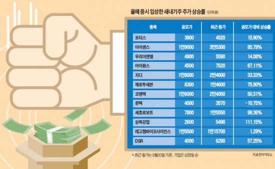 [마켓인사이트] 공모주 대박?…새내기株 급등의 역설