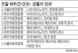 [경찰팀 리포트] CCTV에 걸음걸이만 찍혔는데…"범인은 ○○○입니다"