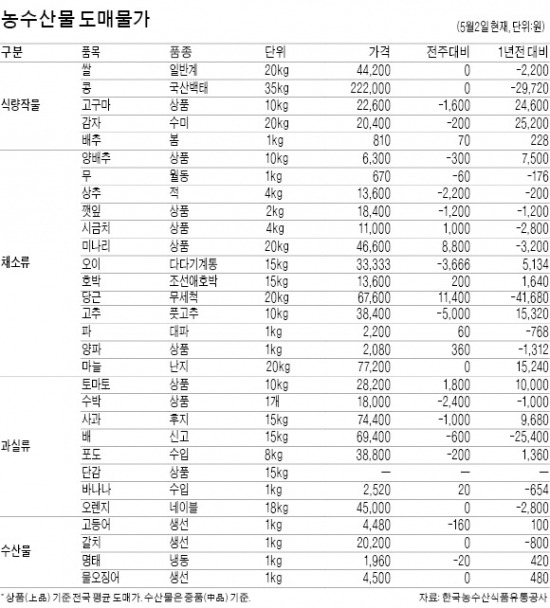 출하 늦어진 토마토…값 27% 내려