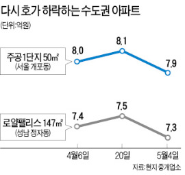 '반짝'했던 강남 재건축마저…관망세 확산