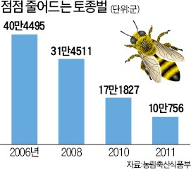 토종벌 사라진다는데 농가 어떻게