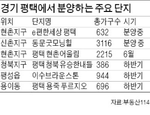 삼성 100조 투자의 힘…평택 부동산 시장 '들썩'