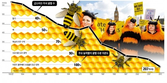 2억년 지구 지킨 꿀벌 떼죽음 행렬…'생태계 대재앙' 경고음