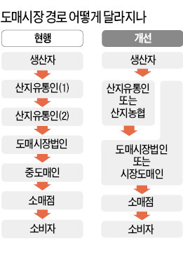 농산물 경매 줄여 '유통거품' 뺀다