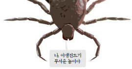 야생진드기 불안해서…어린이집 소풍 못가요