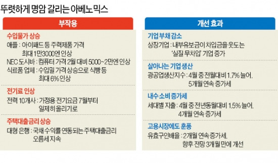 아베노믹스 부작용…日 수입물가·전기료 급등