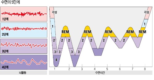 [행복한 삶을 위한 마음 관리] 하룻밤 꾸는 20분짜리 꿈 4~5개가 정상적 뇌 활동 보장