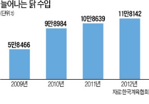 [경찰팀 리포트] 혹시 어제 먹은 치킨도…사료용 닭 '식탁 습격사건'