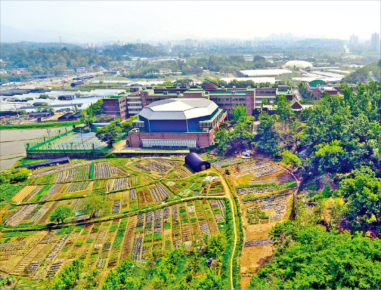 최근 토지거래허가구역에서 해제된 서울 방이동 일대.