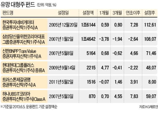 뱅가드 매물 곧 종료…대형주 펀드 '볕드네'