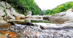 홍류동 계곡