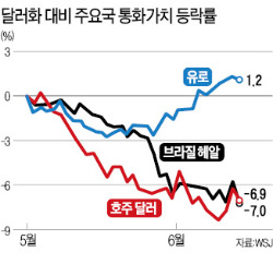 유로화는 '태풍 속 항구'