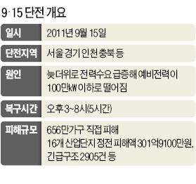 [전력대란 누가 키웠나] '순환단전' 두려워말자…최후의 안전판