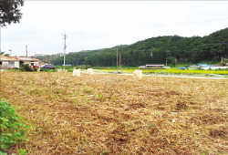 충남 서산시 지곡면 전원주택지 