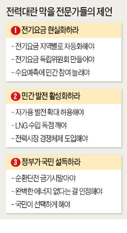 [전력대란 누가 키웠나] "언제든지 공급되고 안전하며 값도 싼 에너지는 없다"