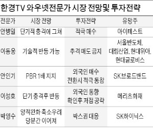 외국인 매도세 진정되면 IT·자동차株 담아라