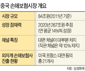 [박 대통령 중국 국빈방문] "국내시장은 좁다"…생보·손보사, 中 적극 공략