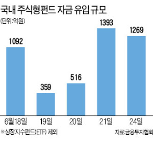 떠돌던 돈 주식형펀드로