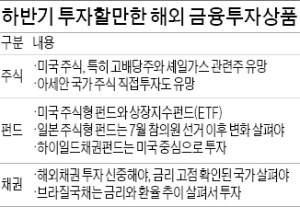 [희비 엇갈린 상반기 글로벌 시장] 美 주식형펀드, 셰일가스 ETF 주목