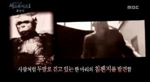 휴먼지 얘기를 다룬 MBC '서프라이즈'(21일자 방송) 화면 캡처.