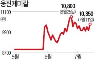 [마켓인사이트] 도레이, 웅진케미칼 인수 참여