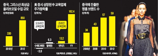 달라진 中중산층 3대 업종이 뜬다 