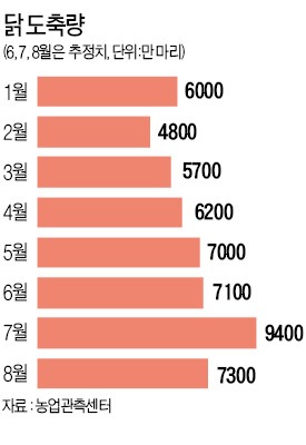 [숫자로 본 마켓] 푹푹 찐 7월 식탁에 오른 닭은 몇마리