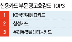 [2013 상반기 고객감동 방송광고] KB국민 혜담Ⅱ 카드, '한 장에 듬뿍 담은 혜택'…로이킴의 감미로운 목소리 어필