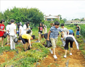 [Farm Stay] 경기 종현마을, 넓고 깨끗한 갯벌…농촌·어촌 체험을 동시에