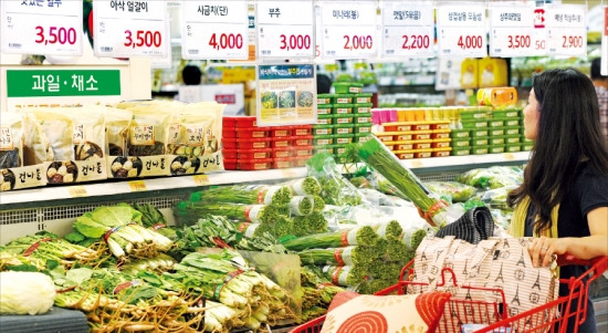 부지방에 장마가 길게 이어지면서 채소와 과일값이 강세를 이어가고 있다. 22일 서울시내 한 대형마트를 찾은 소비자가 채소류를 살펴보고 있다. 신경훈 기자 nicerpeter@hankyung.com
