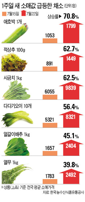 중부 장마에 식탁물가 '비상'…호박·상추 1주일새 60% 이상 '폭등'