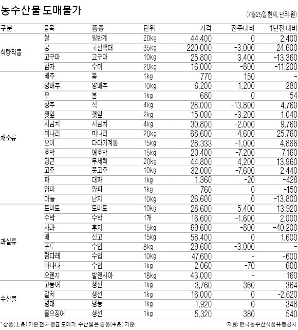 [농수산물·산업자재 시세] 깐마늘 1kg 도매가 23.7% 하락