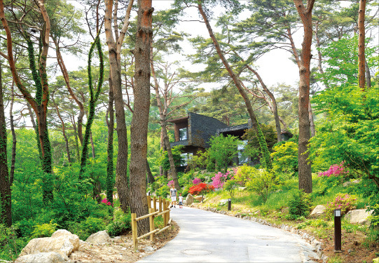 지난달 충북 제천에 개장한 ‘리솜포레스트’ 힐링형 리조트.