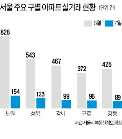 거래절벽 가속…이달 서울 84% 급감