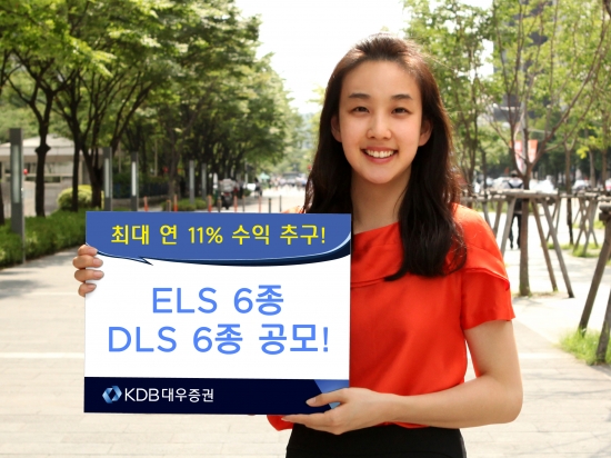 KDB대우증권, ELS 6종·DLS 6종 공모  