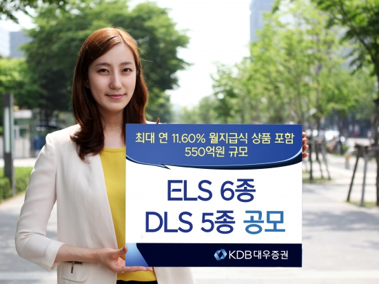 KDB대우증권, ELS 6종·DLS 5종 공모  