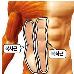 '어깨로 스트로크' 고정관념을 깨라