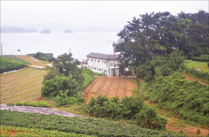 충남 서산시 바닷가 펜션. 