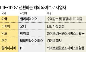 세계시장서 입지 좁아지는 와이브로