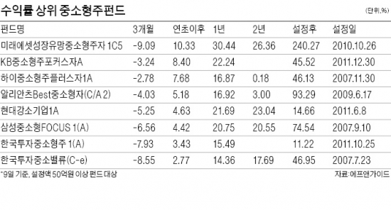 환금성 높고 주가 안정적인 대형주…증시 부진할수록  돋보이는 중소형주