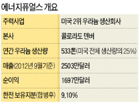 [마켓인사이트] 한전, 美 2위 우라늄 업체 경영참여 한다