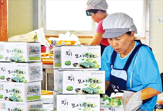 충남 서천군 달고개마을에서 주민들이 모시송편을 만들고 있다. 서천군 제공