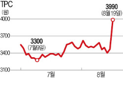 3D 프린터株, 상한가도 '출력'