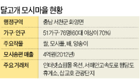 "안팔리던 모시잎 1kg으로 떡 만들었더니 1만5000원 수입 생겼어요"