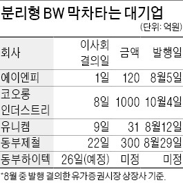 [마켓인사이트] 동부하이텍 "분리형 BW 막차 타자"