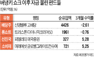 버냉키 쇼크 후 펀드 키워드는…배당주·선진국·소비주